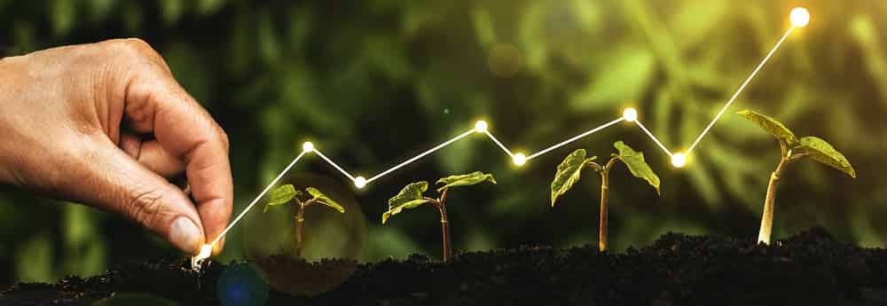 Egypt mulls local issuance of green bonds, sukuk in EGP

